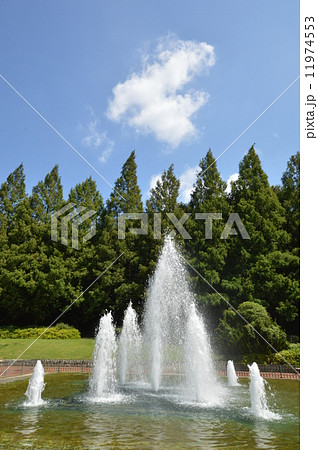 神奈川　相模原公園　フランス式庭園　９月 11974553