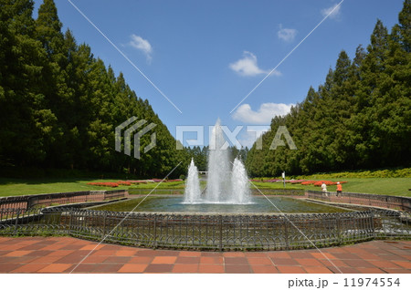 神奈川　相模原公園　フランス式庭園　９月 11974554