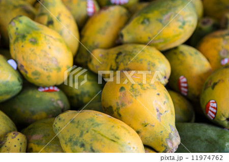 Papaya's 11974762