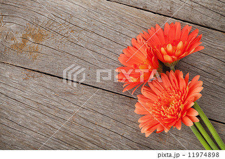 Orange gerbera flowers 11974898