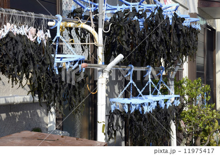 軒先に干された海草 軒先に干された海草 11975417