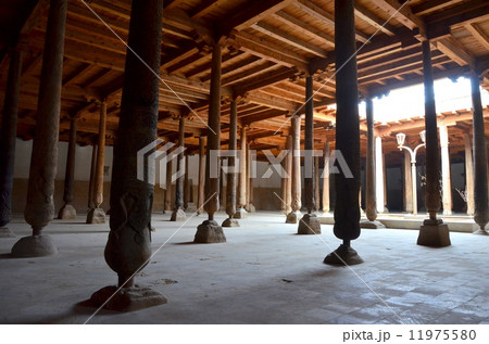 ヒヴァ ヒヴァ 11975580