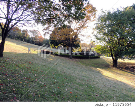 秋の公園 11975654
