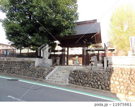 府中・光明院 11975661