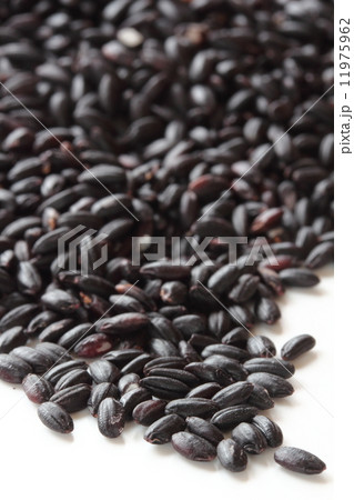 黒米 黒米 11975962