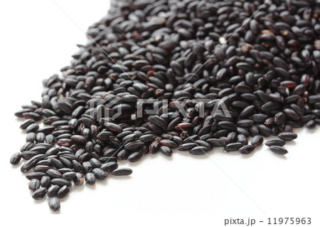 黒米 黒米 11975963
