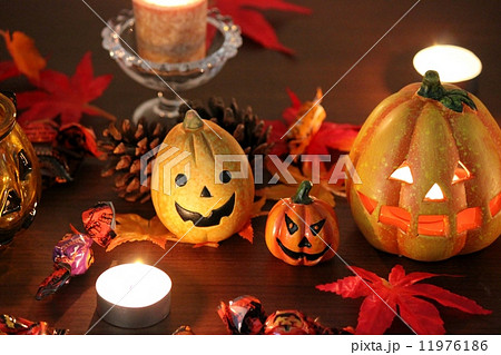 ハロウィン 11976186