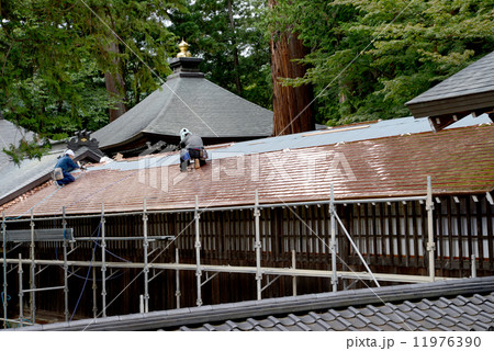 屋根職人 11976390