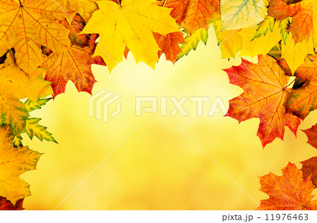 Autumn leaves frame Autumn leaves frame 11976463