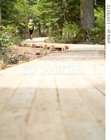 木道と山ガール 11976571
