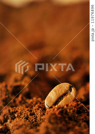 Macro coffee beans and ground coffee Macro coffee beans and ground coffee 11976896