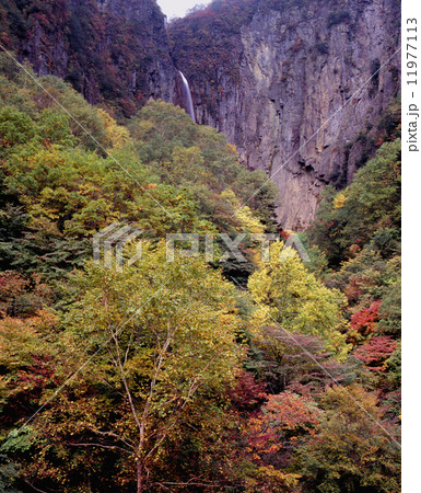錦秋の米子大滝 錦秋の米子大滝 11977113
