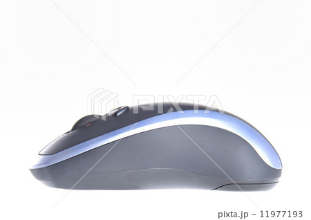 computer mouse 11977193