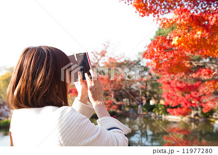 スマホで紅葉を撮る女性の写真素材