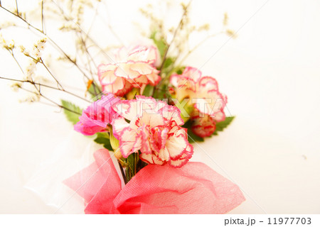 花 花 11977703