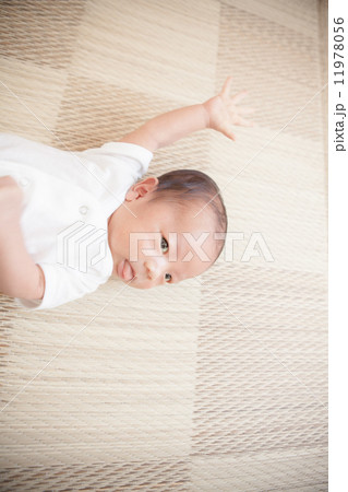生後27日目　新生児　赤ちゃん 11978056