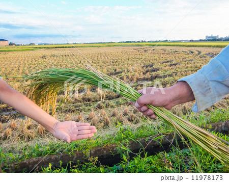 農業の未来～父から子へのバトンタッチ～１ 11978173