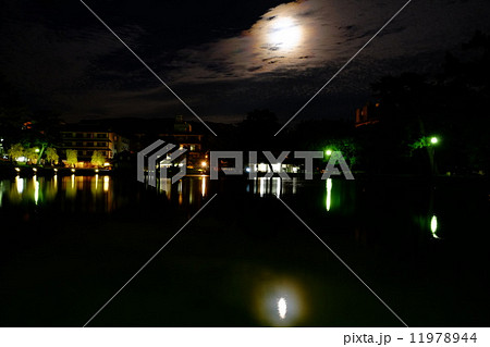 猿沢池ライトアップ 11978944