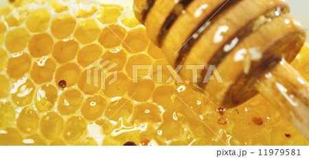 honey, pollen and honey dropper honey, pollen and honey dropper 11979581