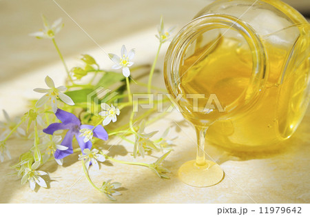 honey flow and flowers honey flow and flowers 11979642