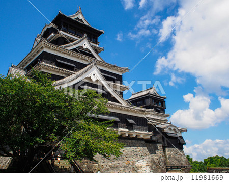 熊本城 11981669