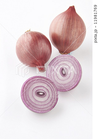 赤小タマネギ 11981769