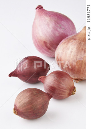 赤タマネギ 11981771