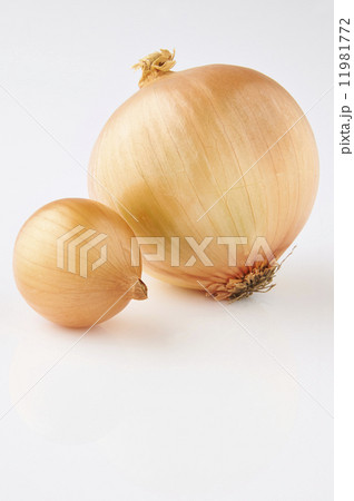黄タマネギ 11981772
