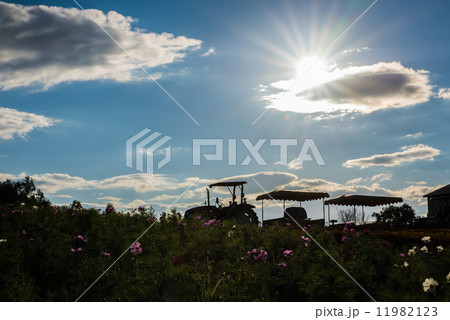 四季彩ノロッコ号と太陽 11982123