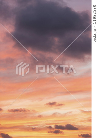 東京の夕焼け空 11982530