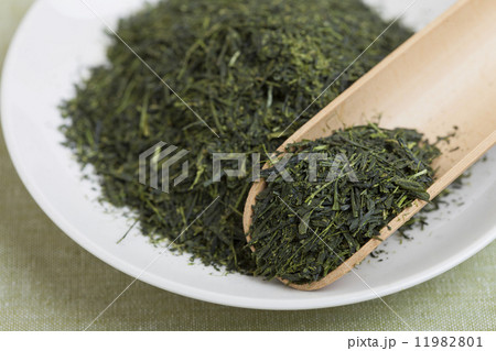 煎茶　知覧茶 11982801