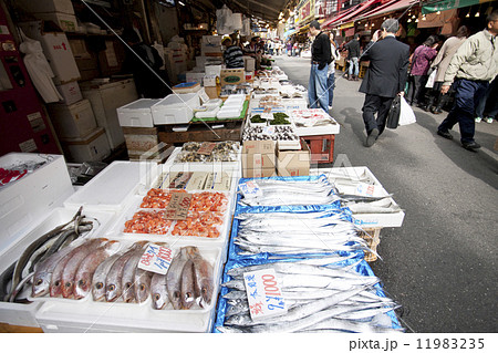 アメ横の鮮魚店 アメ横の鮮魚店 11983235