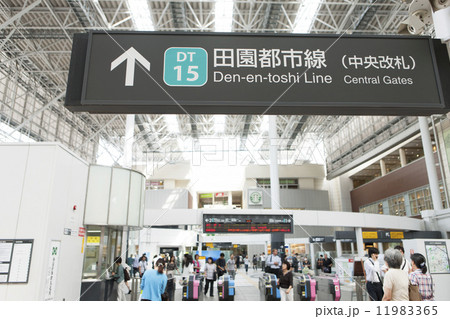 たまプラーザ駅 たまプラーザ駅 11983365