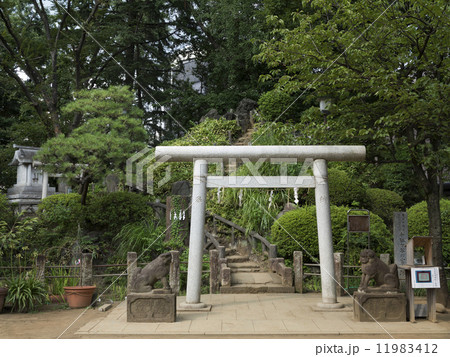鳩森八幡神社の富士塚 鳩森八幡神社の富士塚 11983412