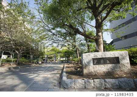 天王公園 11983435