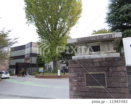 埼玉県立浦和高校 11983483