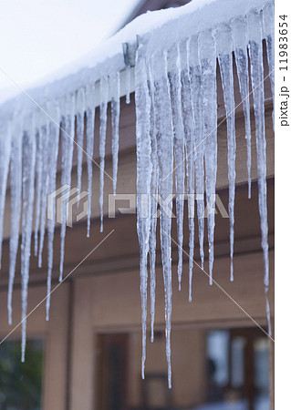 軒先の氷柱 軒先の氷柱 11983654