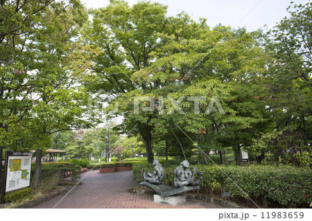 荒川自然公園 荒川自然公園 11983659