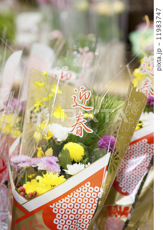 正月用の花 正月用の花 11983747