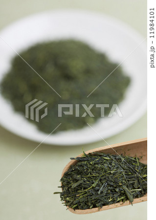 煎茶　知覧茶 11984101