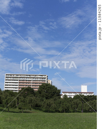 都立尾久の原公園 11984265