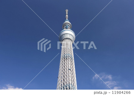東京スカイツリー 11984266