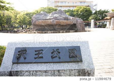 天王公園 11984679