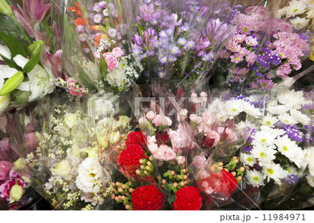 生花売り場 11984971