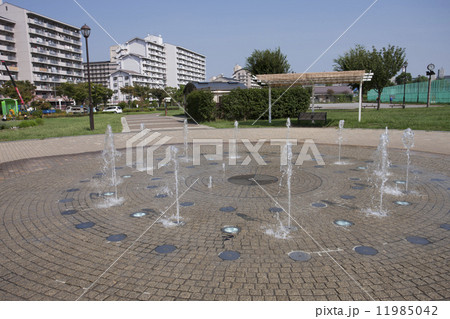 都立汐入公園 11985042