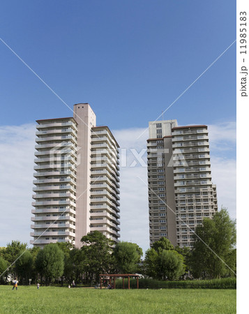 都立尾久の原公園 11985183