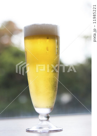 生ビール 11985221