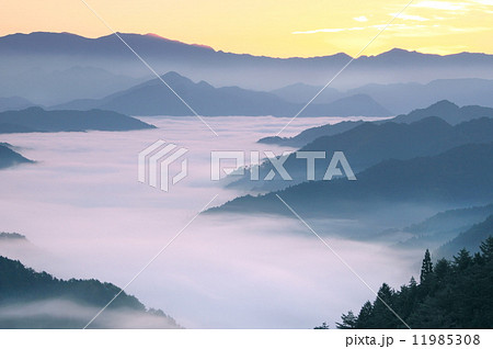 紀伊山地の夜明け 11985308