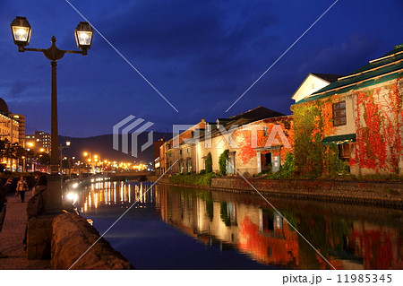 夜の小樽運河 11985345