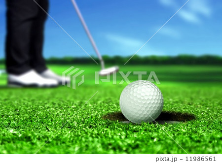 Golfer Putting the Ball into the Hole 11986561